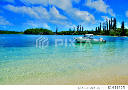 新喀裡多尼亞松樹島 Canumera 海灘 新喀裡多尼亞松樹島 Canumera 海灘 81451625