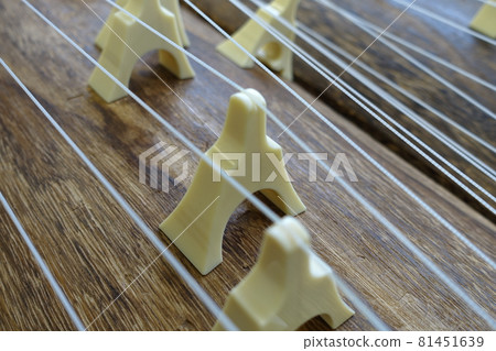 Many koto koto Many koto koto 81451639