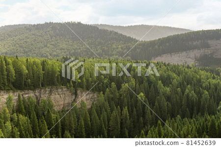 wooded hilly landscape with rocks that resemble waves 81452639