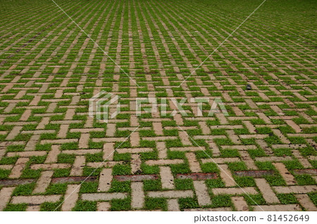 峽谷谷入口處的停車場 81452649