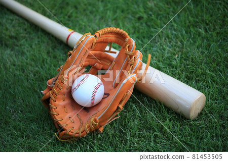 Baseball Baseball 81453505