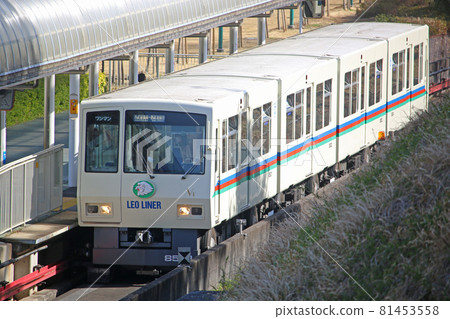 Seibu Yamaguchi Line Amusement Park West Station (currently Seibuen Yuenchi Station) 8500 series 81453558