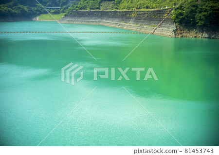 神奈川縣宮瀨壩美麗的綠水面 81453743