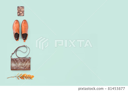 Pair of orange autumn boots and animal print bag on blue 81453877