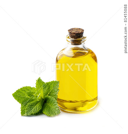 Oil mint on white backgrounds Oil mint on white backgrounds 81455088