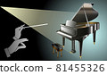 Piano and conductor 81455326