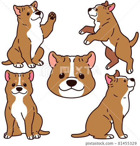 簡單可愛的美國比特鬥牛犬插圖集,帶主線 簡單可愛的美國比特鬥牛犬插圖集,帶主線 81455329