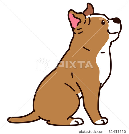 一隻簡單可愛的美國比特鬥牛犬的插圖,側身坐在一條主線上 一隻簡單可愛的美國比特鬥牛犬的插圖,側身坐在一條主線上 81455330