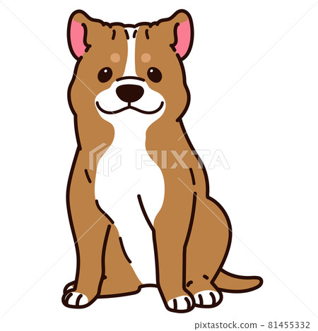 一隻簡單可愛的美國比特鬥牛犬正對著主線坐著的插圖 一隻簡單可愛的美國比特鬥牛犬正對著主線坐著的插圖 81455332