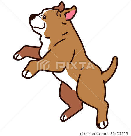 一隻簡單可愛的美國比特鬥牛犬的插圖,它與一條主線一起跳躍 一隻簡單可愛的美國比特鬥牛犬的插圖,它與一條主線一起跳躍 81455335