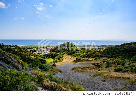 沙丘和大海 沙丘和大海 81455934