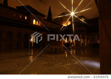 The Alhambra Palace (Spain) The Alhambra Palace (Spain) 81456078