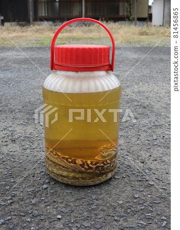 輪轂酒 81456865