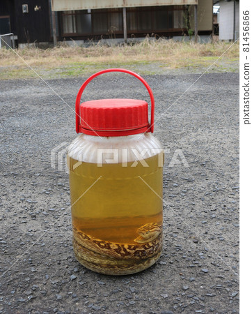 輪轂酒 81456866