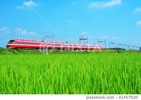 貫穿夏末的1800系列色彩 81457020