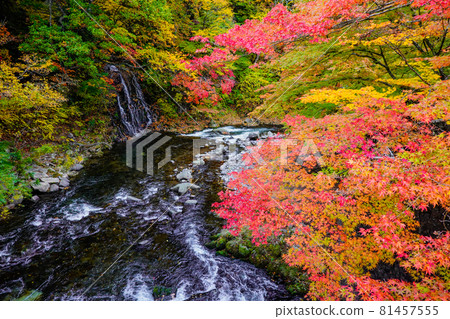 Nakano Momijiyama Park Fudo Waterfall (Kuroishi City, Aomori Prefecture) 81457555