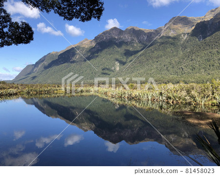 New Zealand mirror-like lake surface 81458023