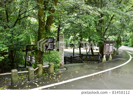 宮崎縣高千穗峽谷長廊入口、旅遊信息板和墨綠色 81458112