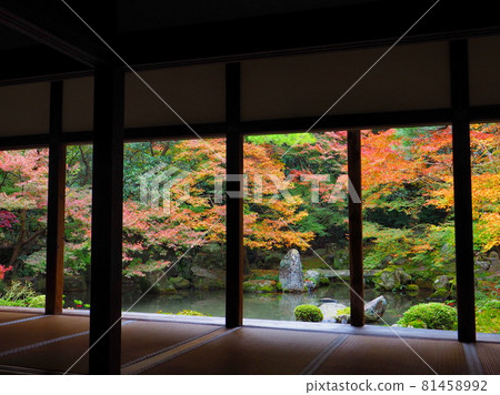 從房間看日本庭園的秋葉 從房間看日本庭園的秋葉 81458992