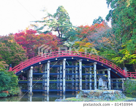 Taiko Bridge and autumn leaves Taiko Bridge and autumn leaves 81458994