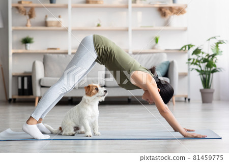 Asian young woman doing yoga with her dog at home Asian young woman doing yoga with her dog at home 81459775