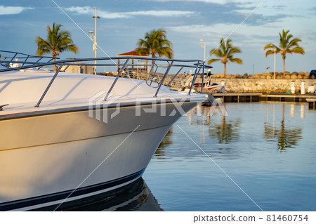 Motor Boat Docked at the tropical Marina with palm tree and blue sky. Travel and vacation concept Motor Boat Docked at the tropical Marina with palm tree and blue sky. Travel and vacation concept 81460754