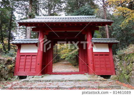 Autumn scenery, Hyakusaiji Temple, Koto Miyama, Shiga Prefecture Autumn scenery, Hyakusaiji Temple, Koto Miyama, Shiga Prefecture 81461089
