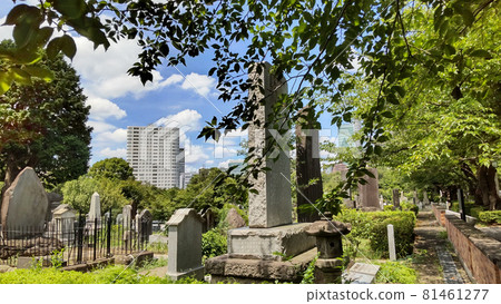 從青山墓地眺望外苑的正面 從青山墓地眺望外苑的正面 81461277