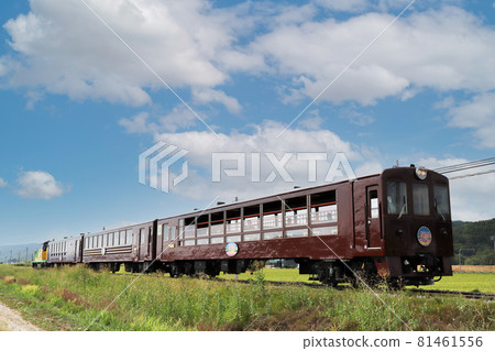 富良野美瑛的組織 81461556