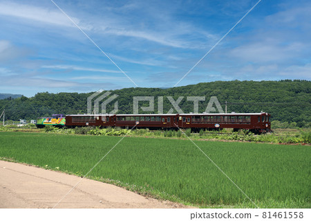 Organization of Furano Biei Norokko 81461558