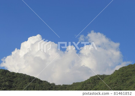 夏の雲 夏の雲 81461852
