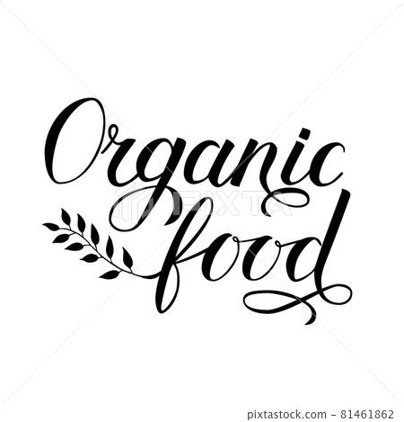 Organic food hand written phrase with leaves branch isolated on white. Calligraphy lettering sign. Healthy food concept. Vector logo design for fresh market, restaurant, farm, store, etc. 81461862