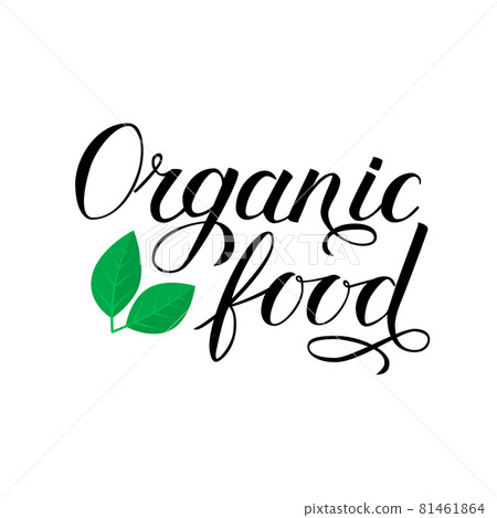 Organic food hand written phrase with green leaves isolated on white. Calligraphy lettering sign. Healthy food concept. Vector logo design for fresh market, restaurant, farm, store, etc. Organic food hand written phrase with green leaves isolated on white. Calligraphy lettering sign. Healthy food concept. Vector logo design for fresh market, restaurant, farm, store, etc. 81461864