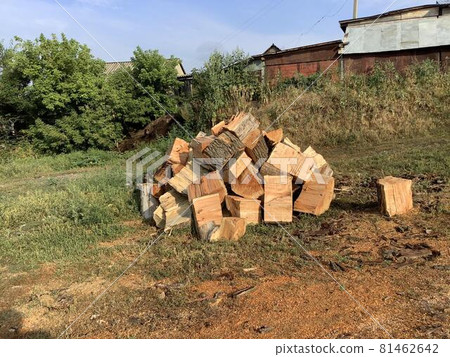 Firewood lies on the ground illuminated by the sun Firewood lies on the ground illuminated by the sun 81462642