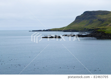 Borgarfjordur fjord view, east Iceland. Icelandic view Borgarfjordur fjord view, east Iceland. Icelandic view 81463705