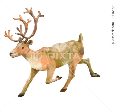 Hand drawn Christmas reindeer - Stock Illustration [81464862] - PIXTA