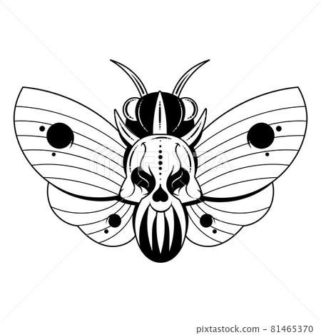 Illustration of a butterfly Dead head with a skull-shaped pattern on the thorax. Vector banner with realistic moth close 81465370