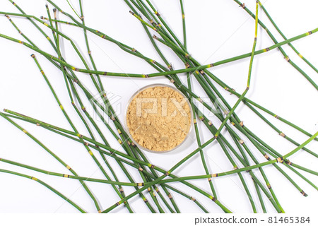 Dry water horsetail, swamp horsetail, Equisetum fluviatile extract. Top view. Dry water horsetail, swamp horsetail, Equisetum fluviatile extract. Top view. 81465384