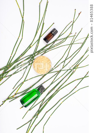 Water horsetail, swamp horsetail, Equisetum fluviatile, oil and extract on white background. 81465388