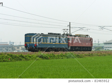 北陸本線野野市松 JR 西 EF81-46（敦賀）+瑪雅 34-2005（京都） 81465912