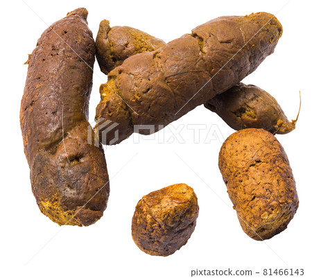 Cat poop isolated Cat poop isolated 81466143