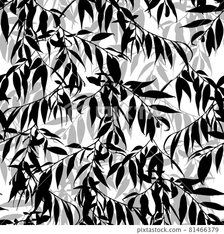 Monochrome vector cute seamless pattern with willow leaves isolated on white background. Monochrome vector cute seamless pattern with willow leaves isolated on white background. 81466379
