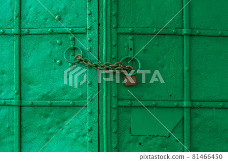 fresh painted old riveted door 81466450