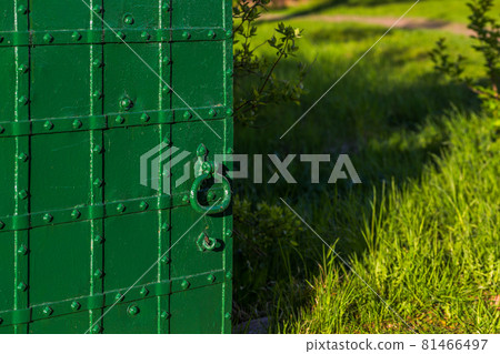 opened riveted green door with selective focus opened riveted green door with selective focus 81466497