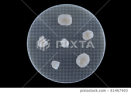 Metal free ceramic crowns of different teeth lying on a ceramic trigger stand. 81467403