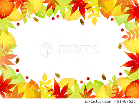 普通版秋葉框架 81467628