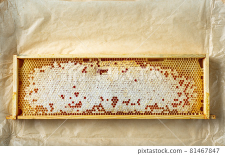 wooden frame of honey combs wooden frame of honey combs 81467847