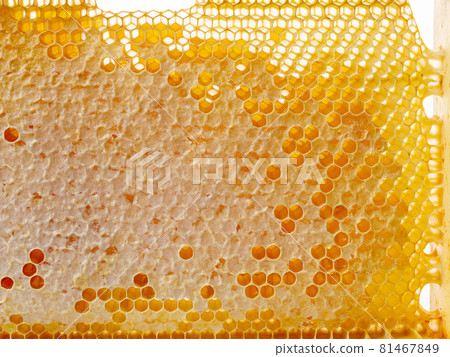 fresh honey combs fresh honey combs 81467849