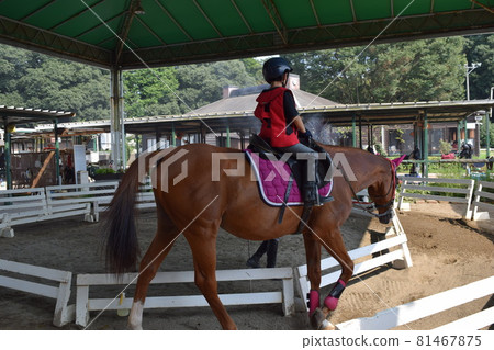 孩子們享受騎馬 孩子們享受騎馬 81467875