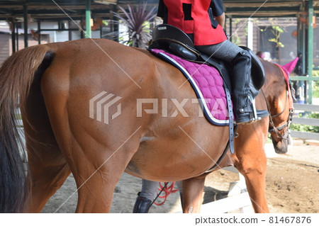 孩子們享受騎馬 孩子們享受騎馬 81467876